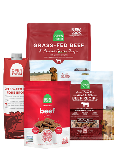 Grass-Fed Goodness Bundle