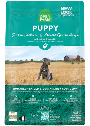 Chicken & Salmon Ancient Grains Puppy Kibble