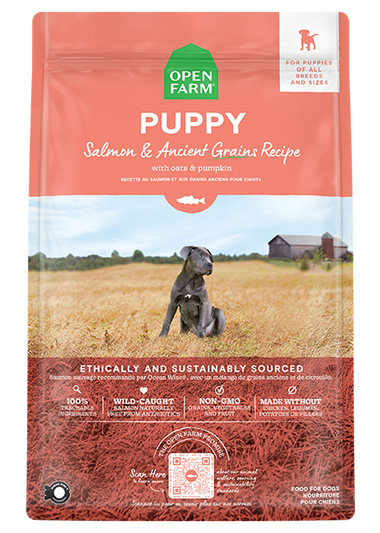 Salmon & Ancient Grains Puppy Kibble