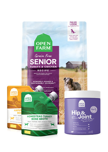 Senior Support Bundle